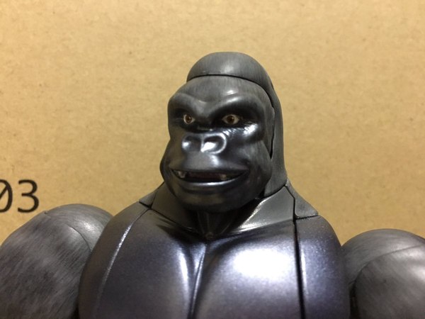 MP 32 Masterpiece Optimus Primal   In Hand Photos Surface On Twitter  (9 of 81)